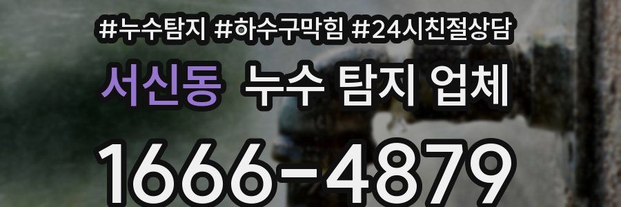 서신동 누수 탐지 업체