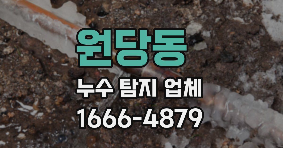 원당동 누수 탐지 업체