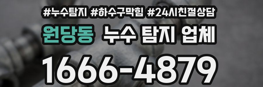 원당동 누수 탐지 업체