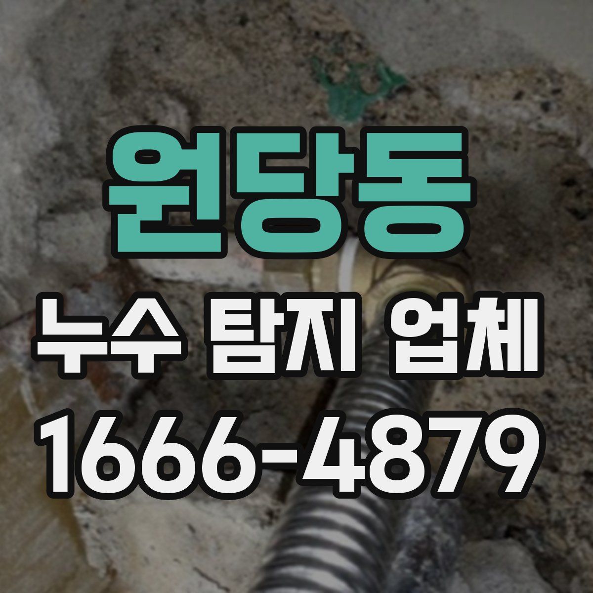 원당동 누수 탐지 업체