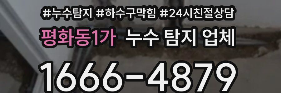 평화동1가 누수 탐지 업체