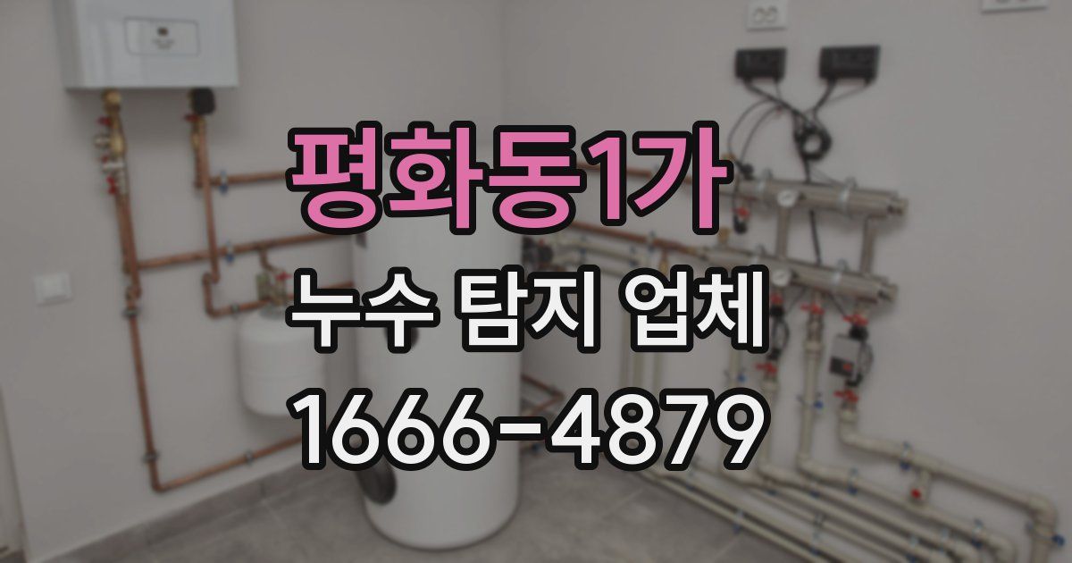 평화동1가 누수 탐지 업체