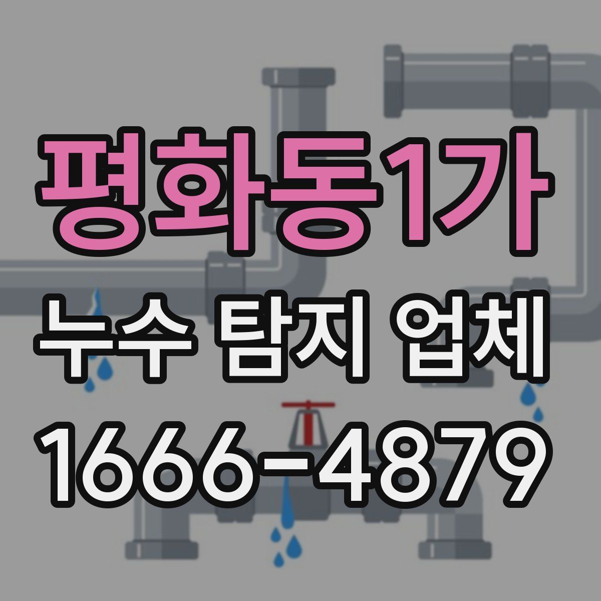 평화동1가 누수 탐지 업체