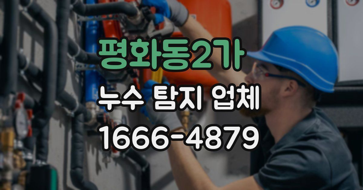 평화동2가 누수 탐지 업체