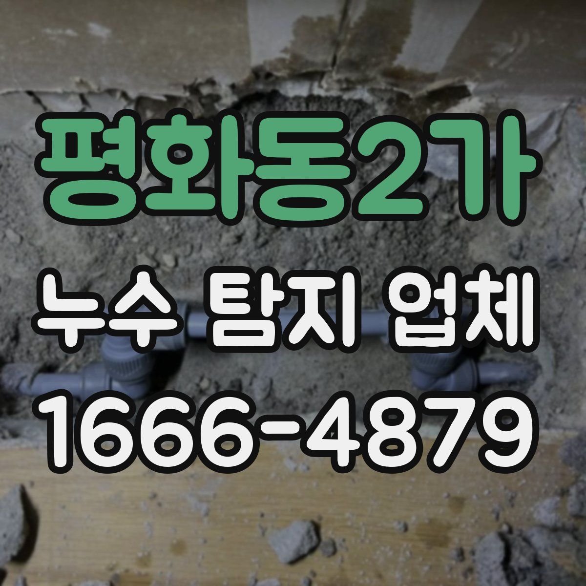 평화동2가 누수 탐지 업체