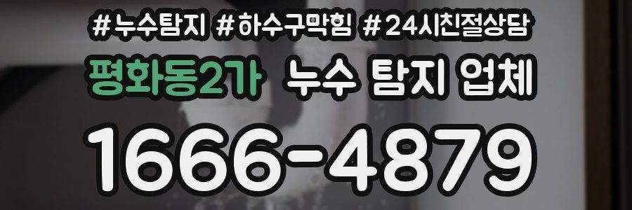 평화동2가 누수 탐지 업체