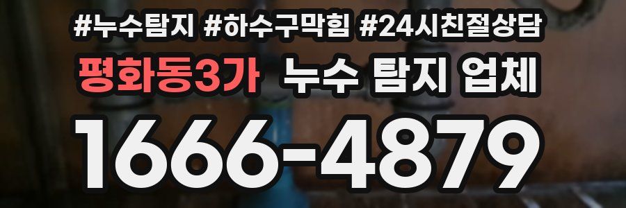 평화동3가 누수 탐지 업체