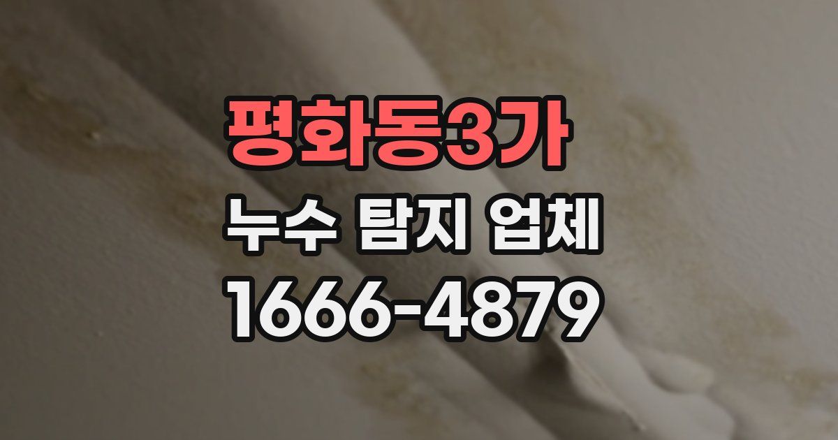 평화동3가 누수 탐지 업체