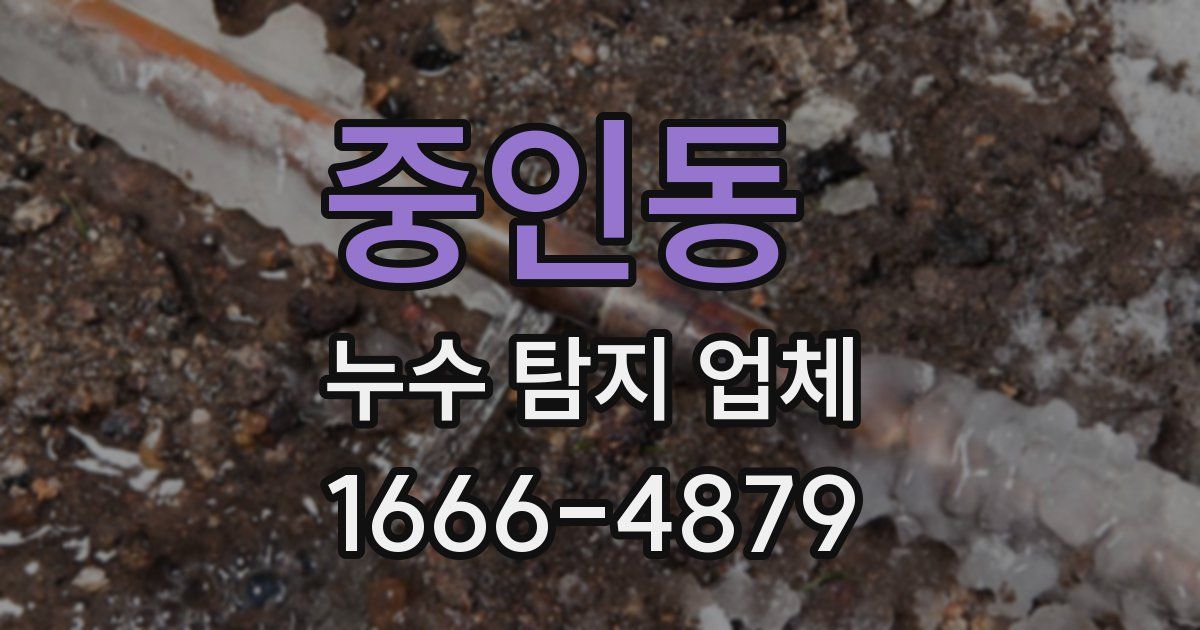 중인동 누수 탐지 업체