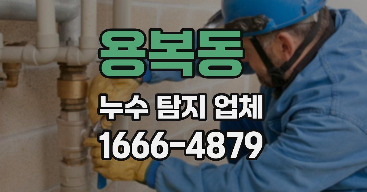 용복동 누수 탐지 업체