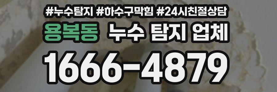 용복동 누수 탐지 업체