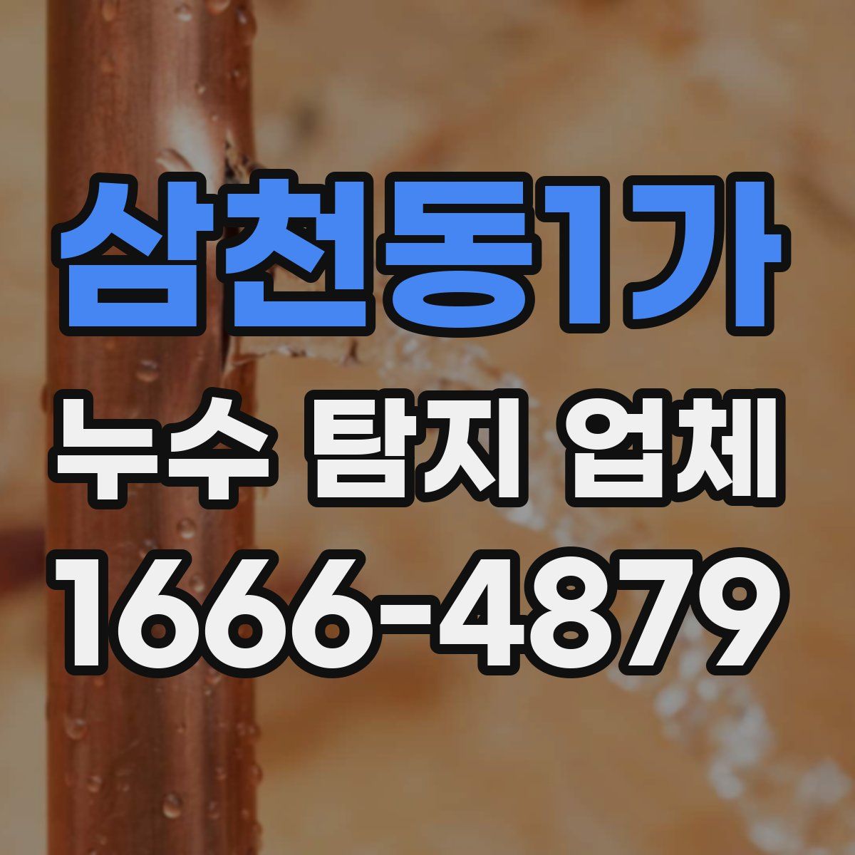 삼천동1가 누수 탐지 업체
