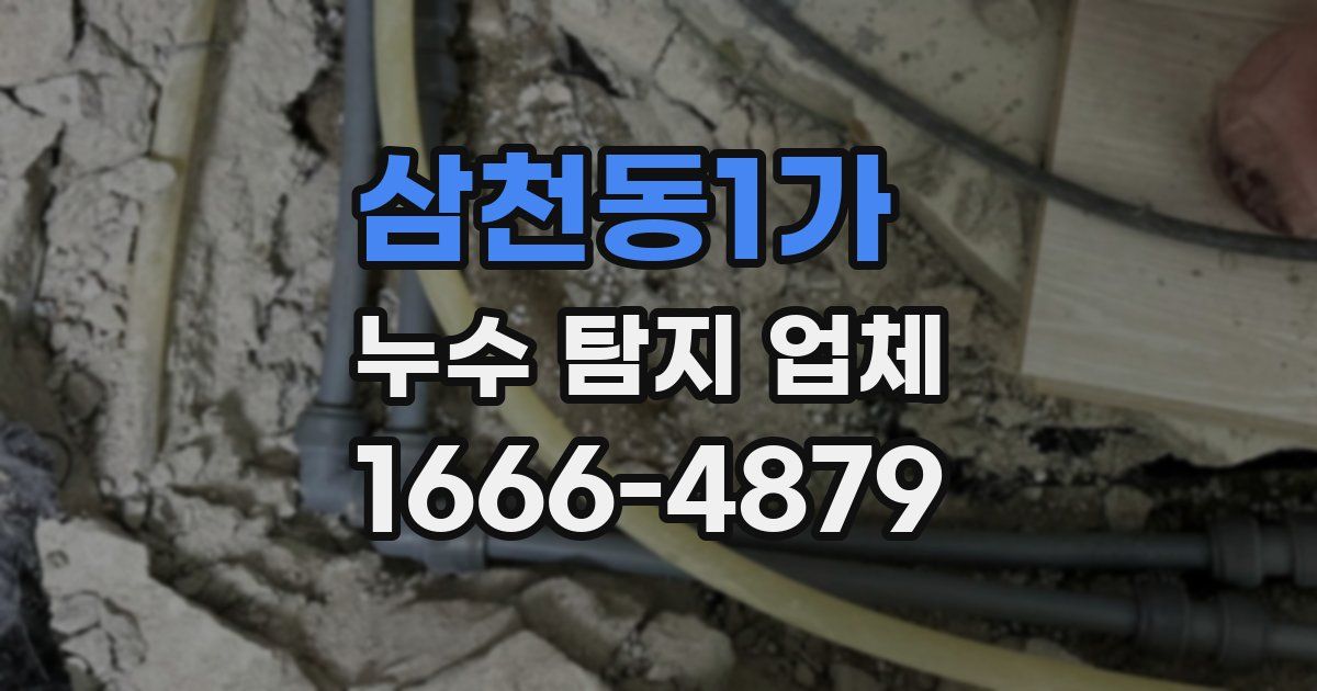 삼천동1가 누수 탐지 업체