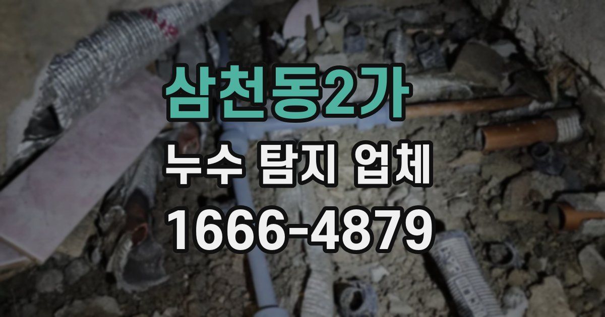 삼천동2가 누수 탐지 업체