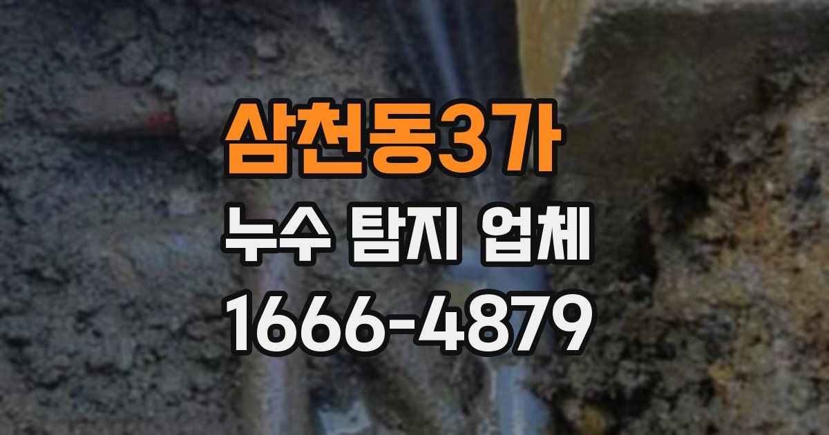 삼천동3가 누수 탐지 업체
