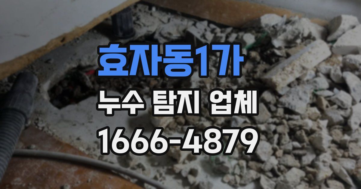 효자동1가 누수 탐지 업체