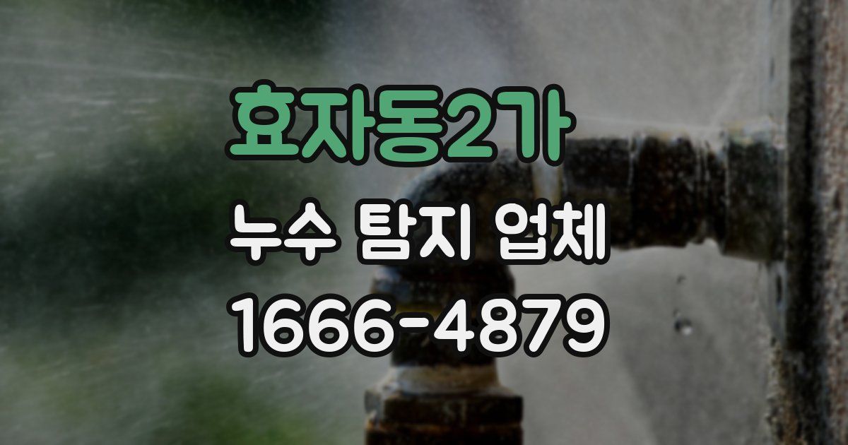 효자동2가 누수 탐지 업체