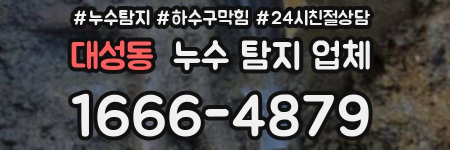 대성동 누수 탐지 업체