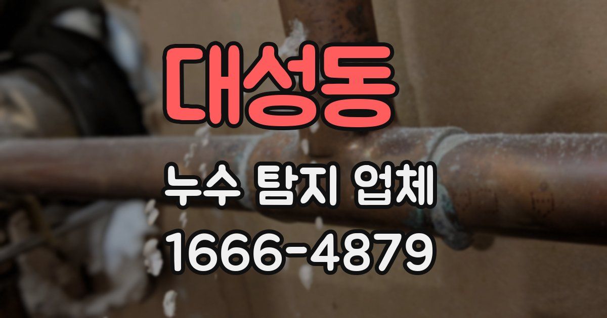 대성동 누수 탐지 업체