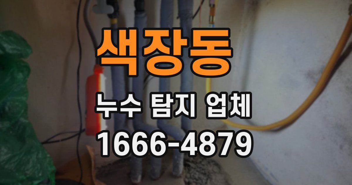 색장동 누수 탐지 업체