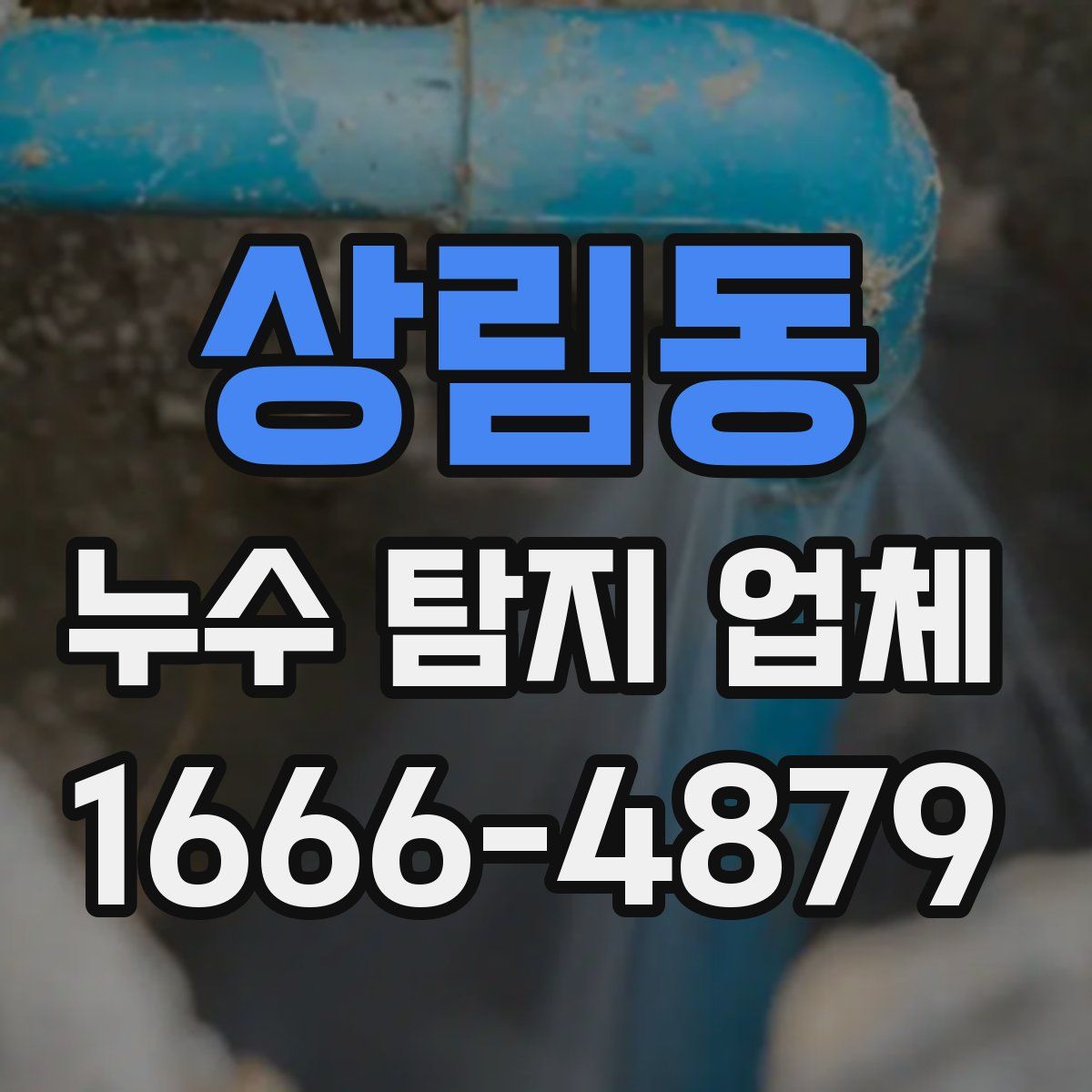 상림동 누수 탐지 업체