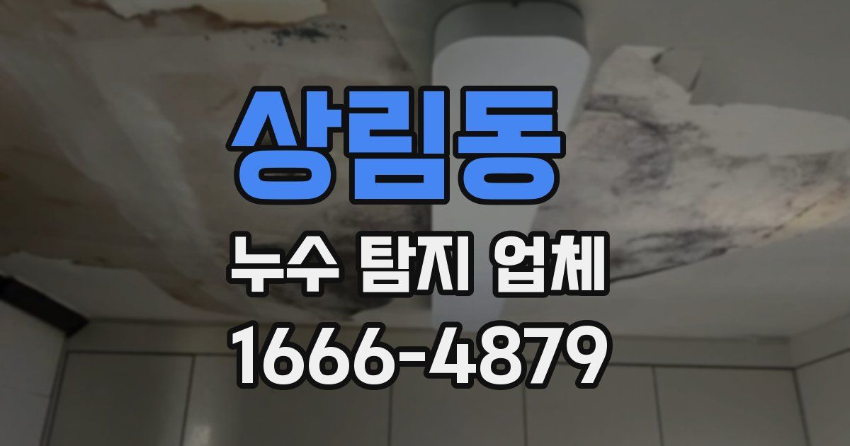 상림동 누수 탐지 업체