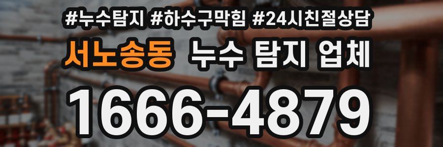 서노송동 누수 탐지 업체