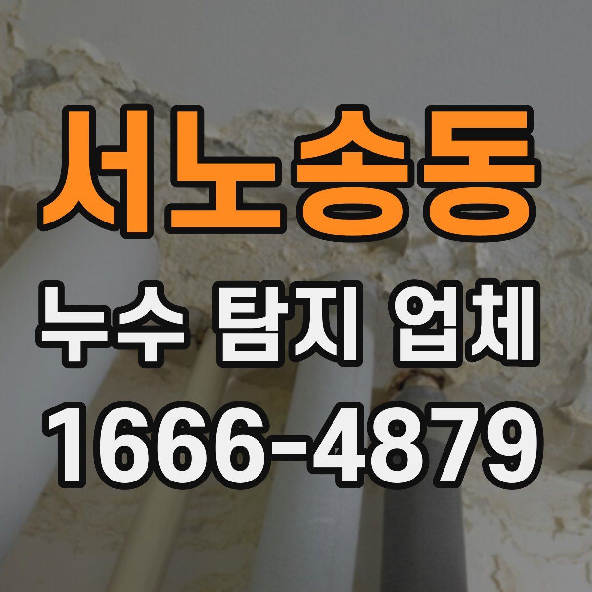 서노송동 누수 탐지 업체