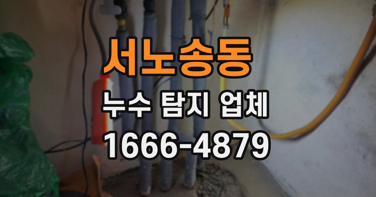 서노송동 누수 탐지 업체