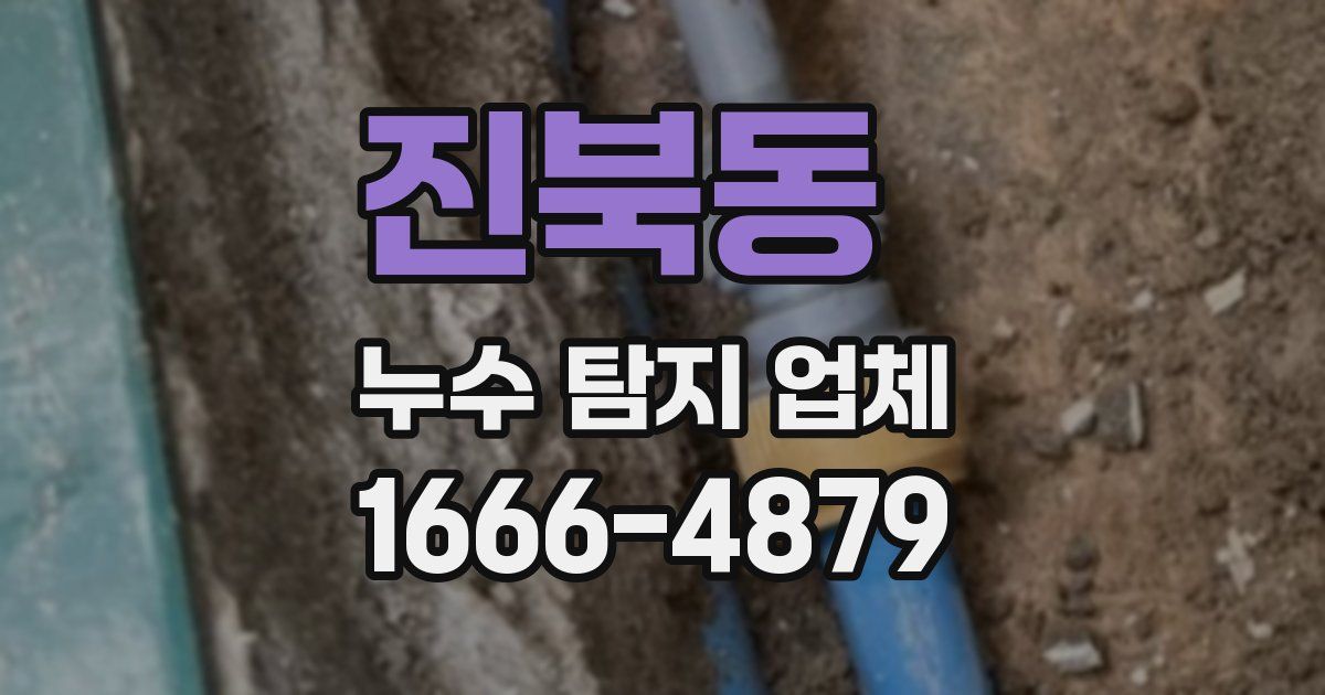 진북동 누수 탐지 업체