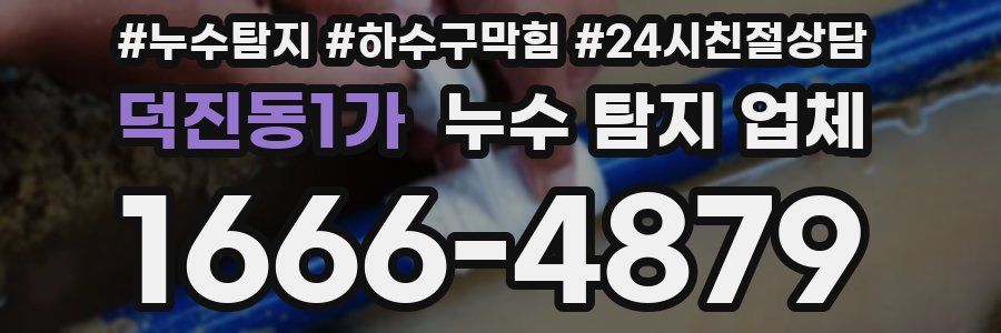 덕진동1가 누수 탐지 업체