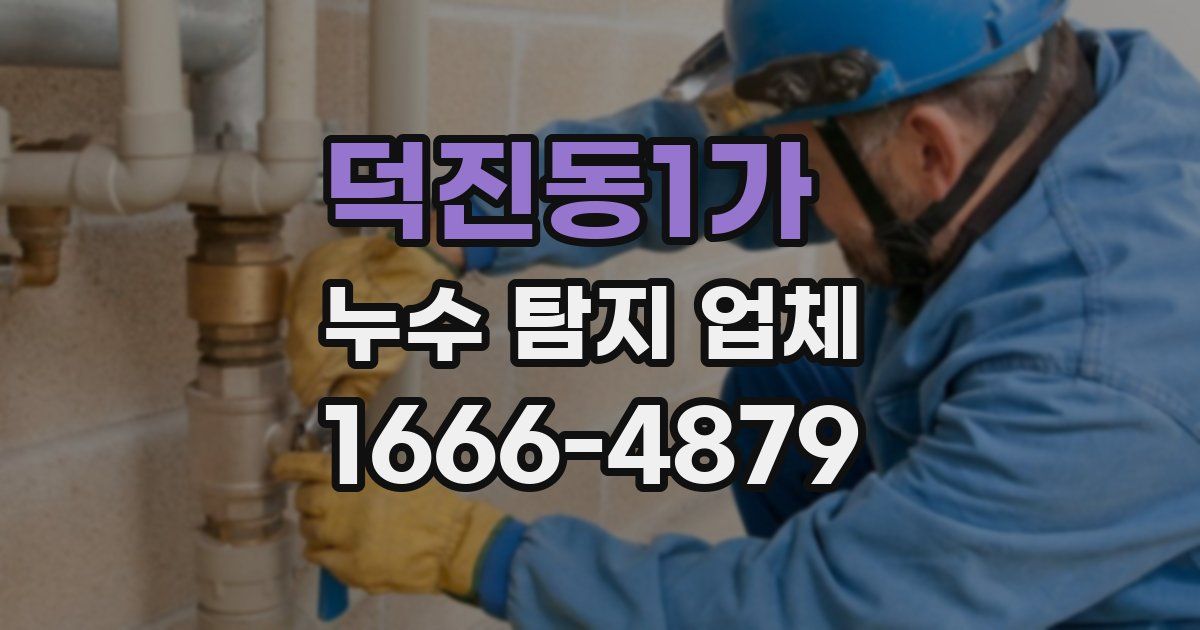덕진동1가 누수 탐지 업체