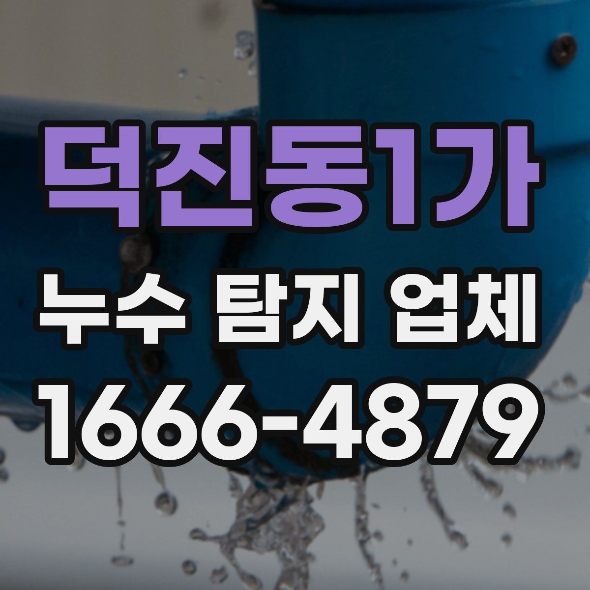 덕진동1가 누수 탐지 업체