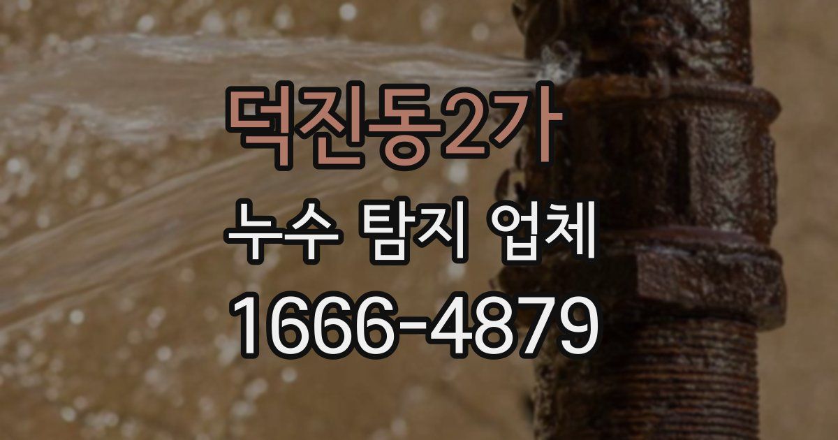 덕진동2가 누수 탐지 업체