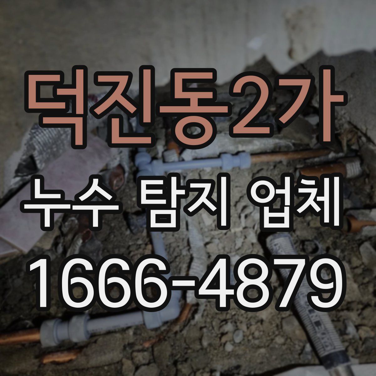 덕진동2가 누수 탐지 업체