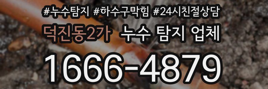 덕진동2가 누수 탐지 업체