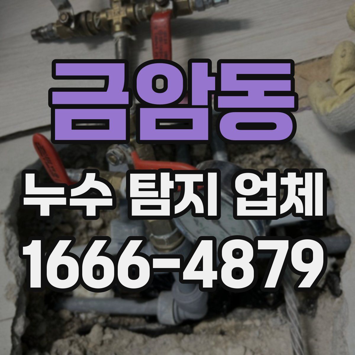 금암동 누수 탐지 업체