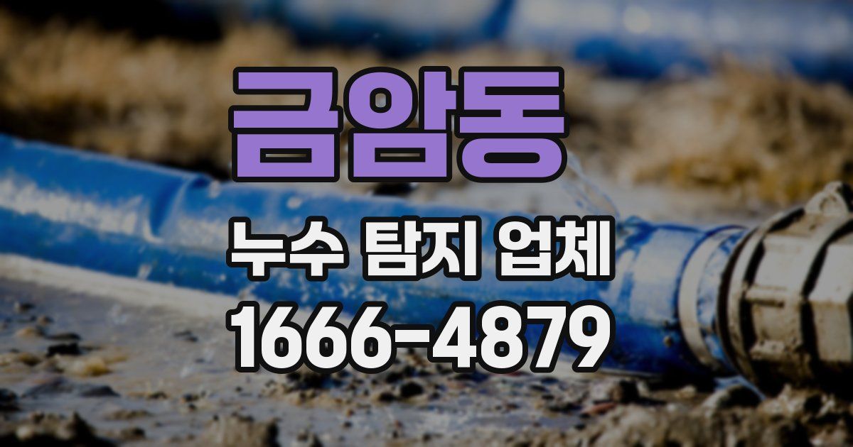 금암동 누수 탐지 업체
