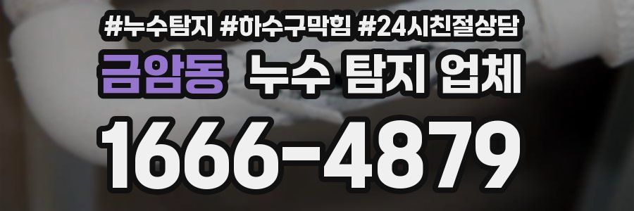 금암동 누수 탐지 업체