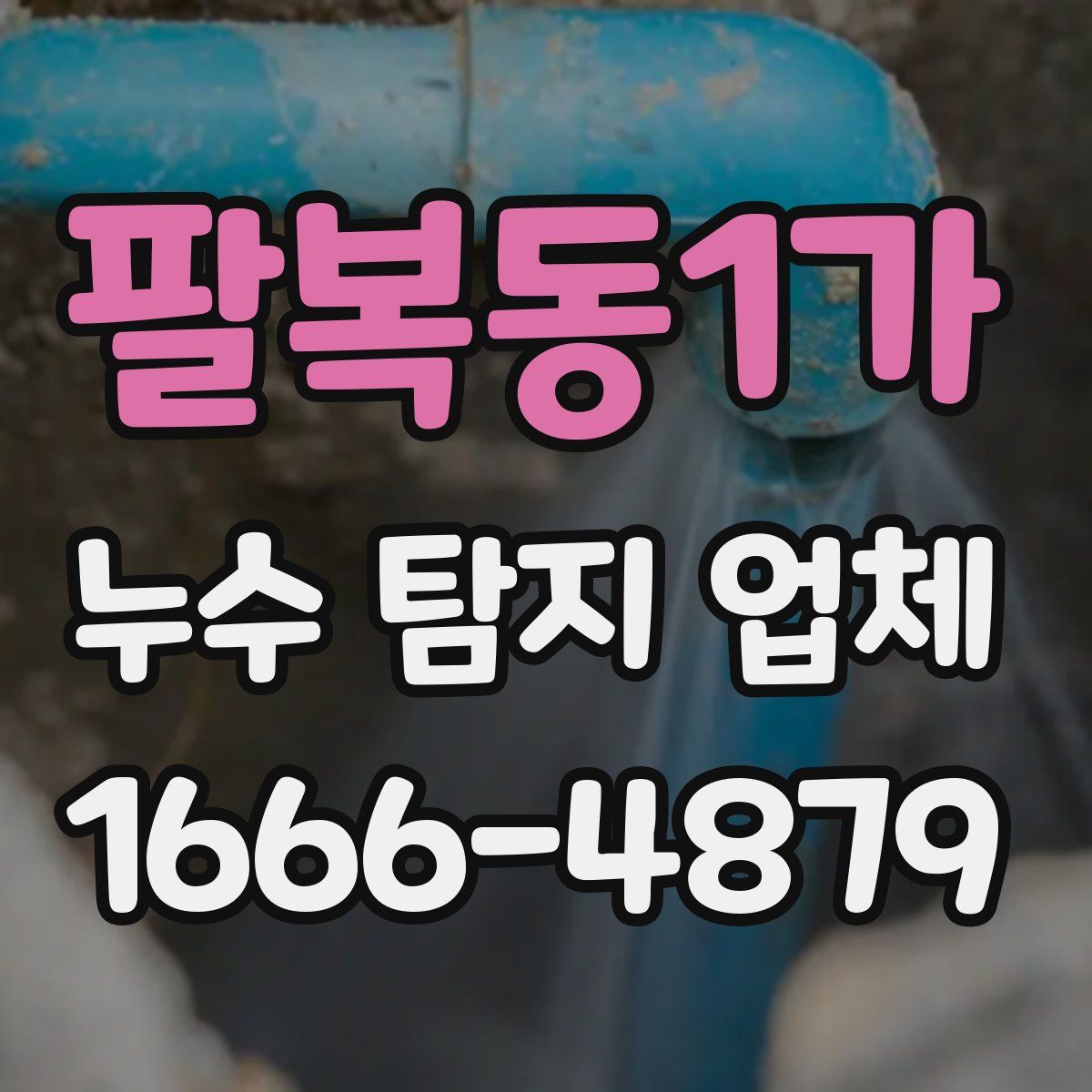 팔복동1가 누수 탐지 업체