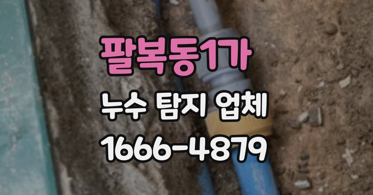 팔복동1가 누수 탐지 업체