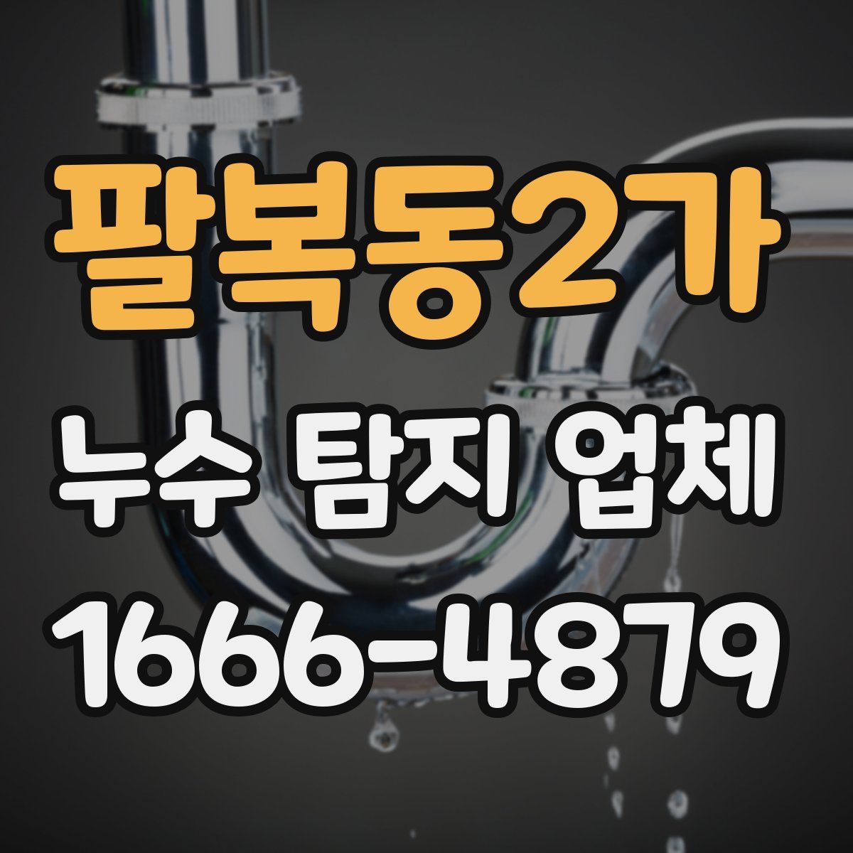 팔복동2가 누수 탐지 업체