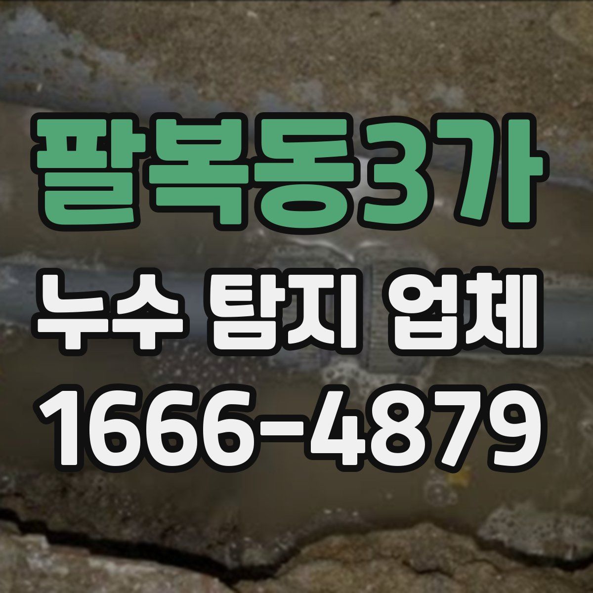 팔복동3가 누수 탐지 업체