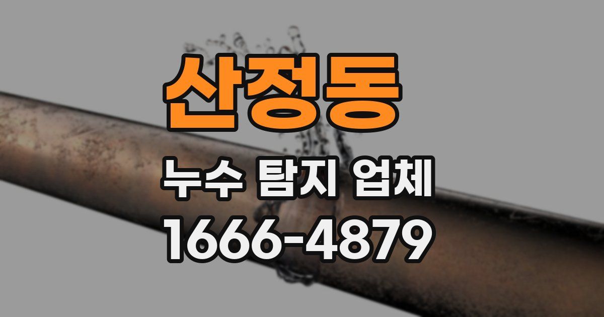 산정동 누수 탐지 업체
