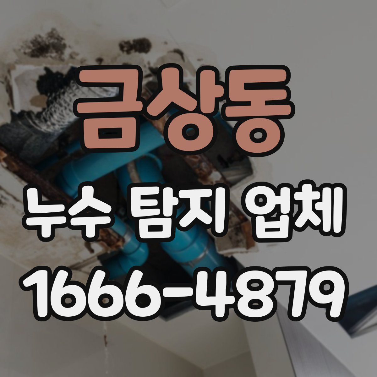 금상동 누수 탐지 업체