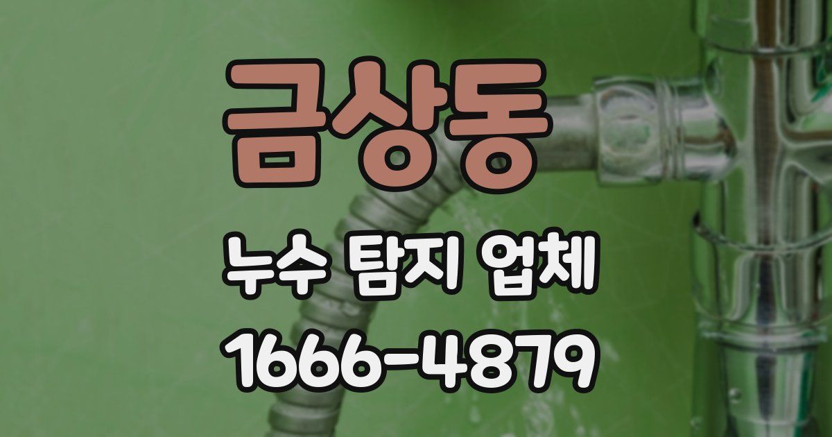 금상동 누수 탐지 업체