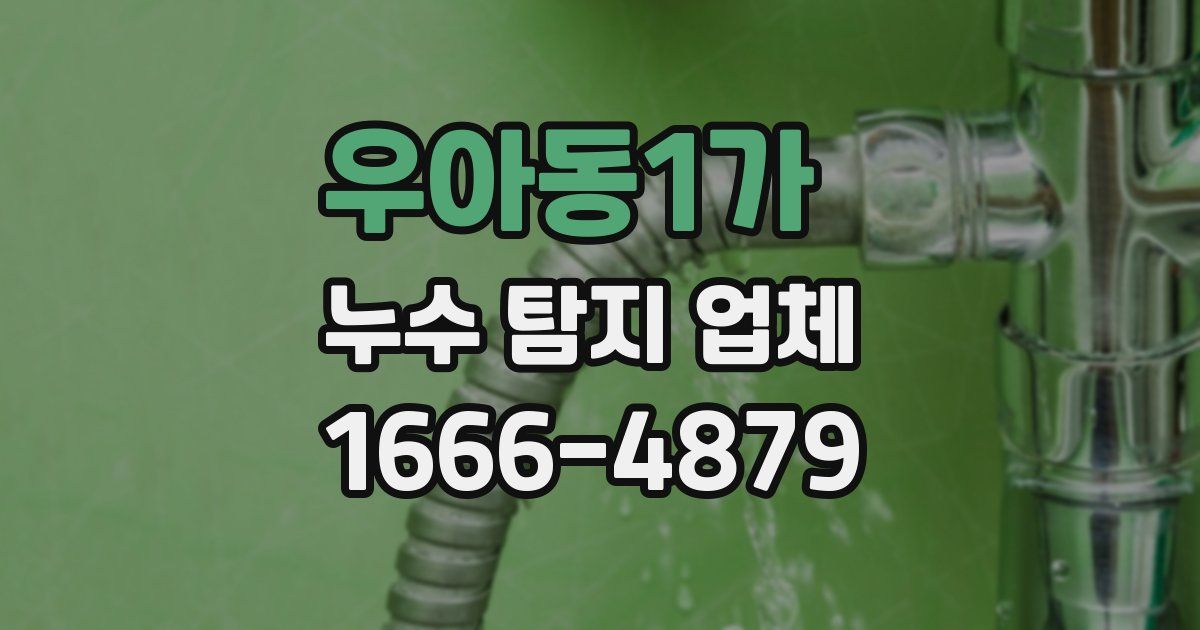우아동1가 누수 탐지 업체