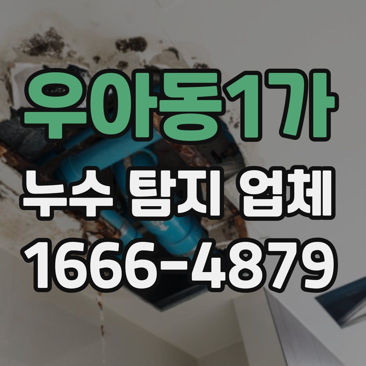 우아동1가 누수 탐지 업체