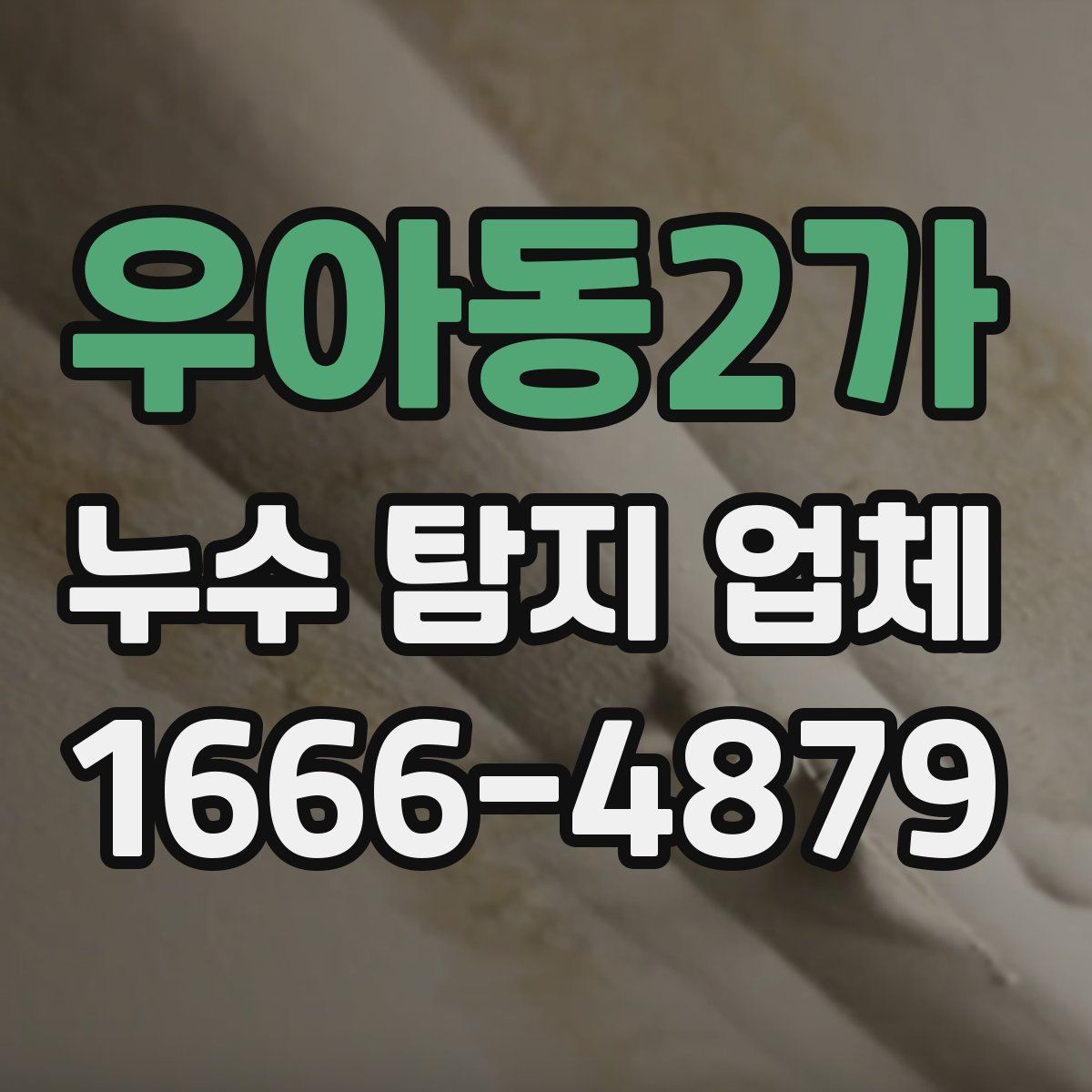 우아동2가 누수 탐지 업체