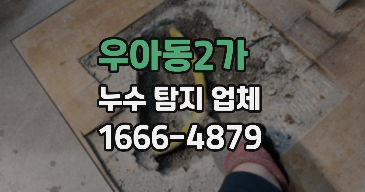 우아동2가 누수 탐지 업체